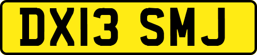 DX13SMJ