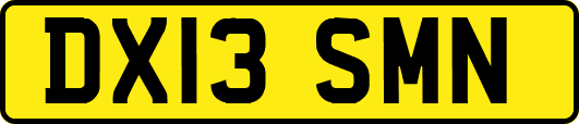 DX13SMN