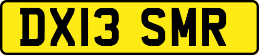 DX13SMR