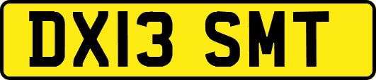 DX13SMT