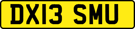 DX13SMU