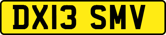 DX13SMV