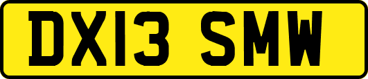 DX13SMW