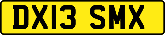DX13SMX