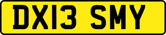 DX13SMY