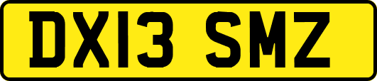 DX13SMZ