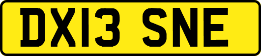 DX13SNE
