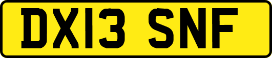 DX13SNF