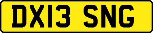 DX13SNG