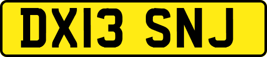DX13SNJ