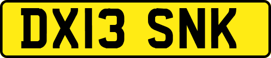 DX13SNK