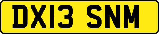 DX13SNM
