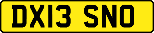 DX13SNO