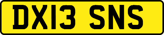 DX13SNS