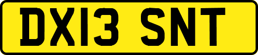 DX13SNT