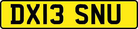DX13SNU