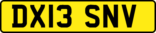 DX13SNV