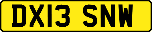 DX13SNW