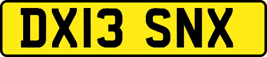 DX13SNX