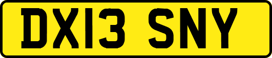 DX13SNY
