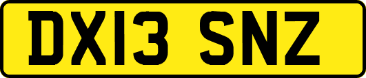 DX13SNZ