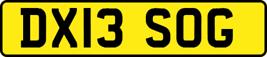 DX13SOG