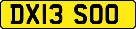 DX13SOO