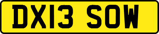 DX13SOW