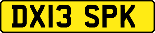 DX13SPK