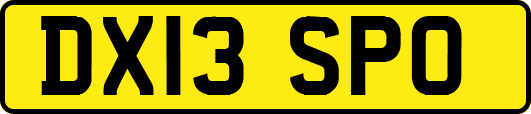 DX13SPO