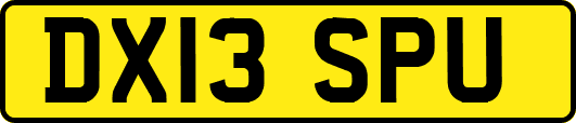 DX13SPU
