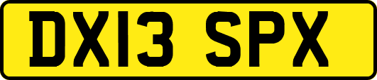 DX13SPX