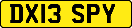 DX13SPY