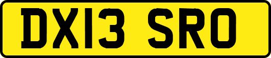 DX13SRO