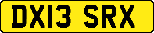 DX13SRX