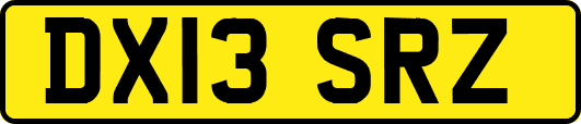 DX13SRZ