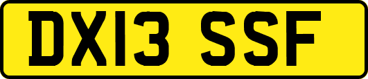DX13SSF