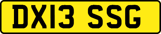 DX13SSG