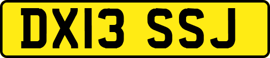 DX13SSJ