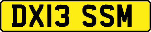 DX13SSM