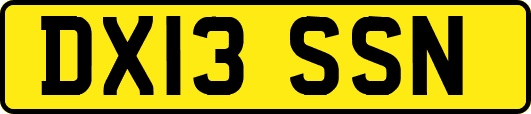 DX13SSN