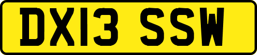 DX13SSW