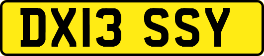 DX13SSY
