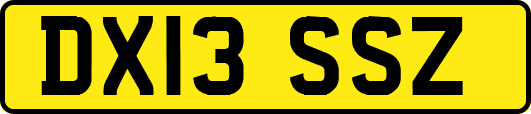 DX13SSZ