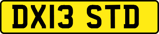 DX13STD