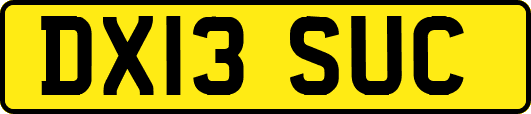 DX13SUC