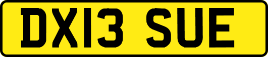 DX13SUE