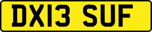 DX13SUF