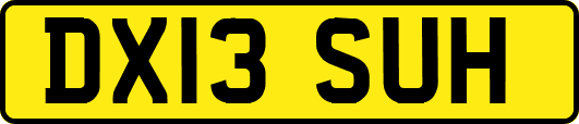 DX13SUH