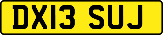 DX13SUJ